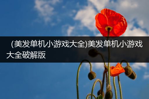 （美发单机小游戏大全)美发单机小游戏大全破解版