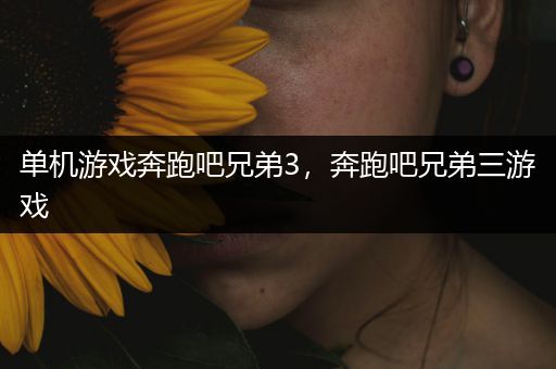 单机游戏奔跑吧兄弟3，奔跑吧兄弟三游戏