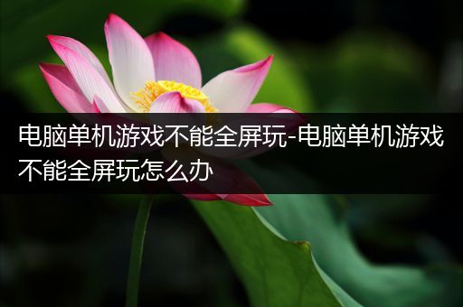 电脑单机游戏不能全屏玩-电脑单机游戏不能全屏玩怎么办