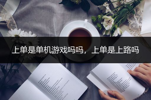 上单是单机游戏吗吗，上单是上路吗
