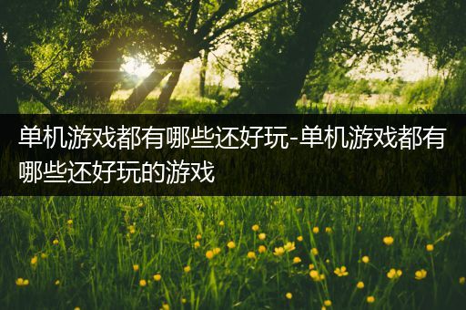 单机游戏都有哪些还好玩-单机游戏都有哪些还好玩的游戏