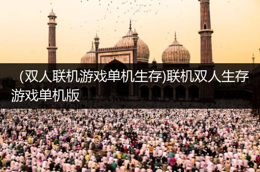 （双人联机游戏单机生存)联机双人生存游戏单机版