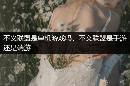 不义联盟是单机游戏吗，不义联盟是手游还是端游