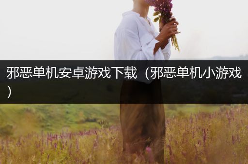 邪恶单机安卓游戏下载（邪恶单机小游戏）