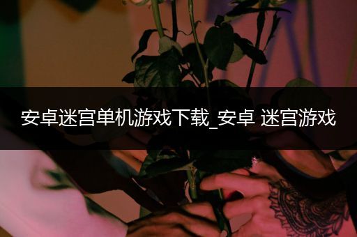 安卓迷宫单机游戏下载_安卓 迷宫游戏