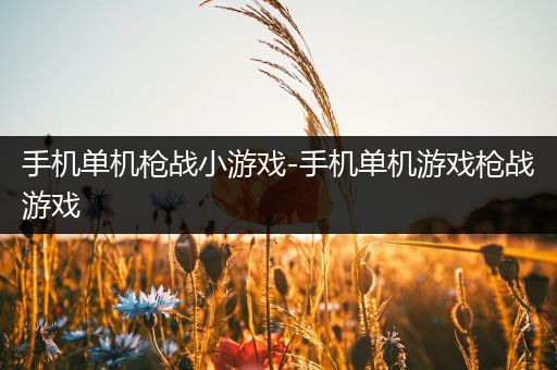 手机单机枪战小游戏-手机单机游戏枪战游戏