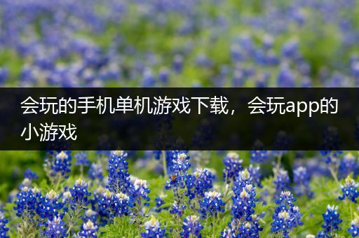 会玩的手机单机游戏下载，会玩app的小游戏