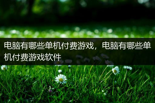 电脑有哪些单机付费游戏，电脑有哪些单机付费游戏软件