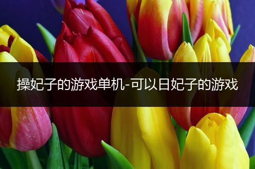 操妃子的游戏单机-可以日妃子的游戏