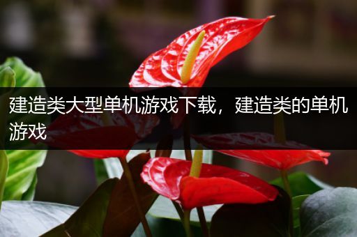 建造类大型单机游戏下载，建造类的单机游戏