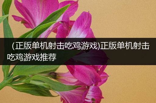（正版单机射击吃鸡游戏)正版单机射击吃鸡游戏推荐