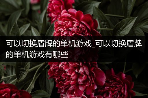可以切换盾牌的单机游戏_可以切换盾牌的单机游戏有哪些