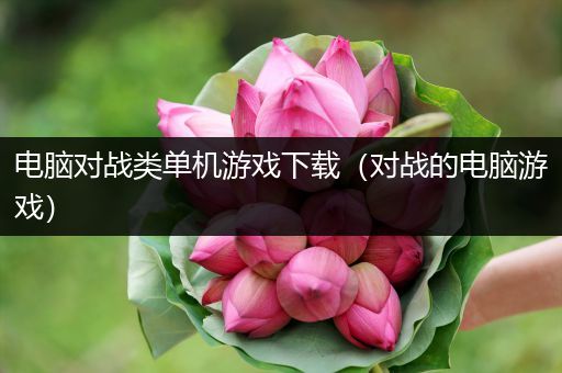 电脑对战类单机游戏下载（对战的电脑游戏）
