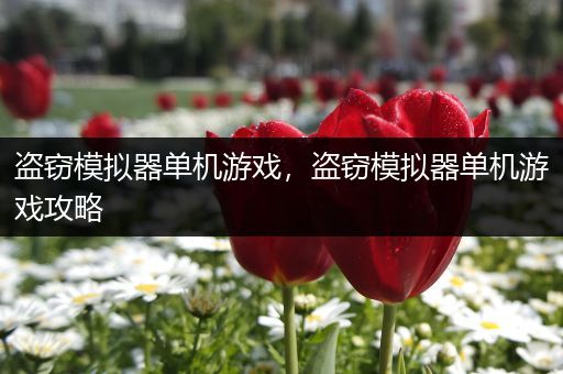 盗窃模拟器单机游戏，盗窃模拟器单机游戏攻略