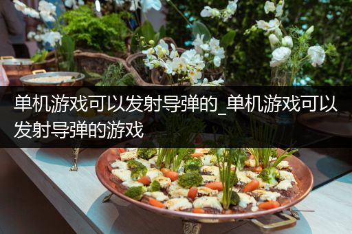 单机游戏可以发射导弹的_单机游戏可以发射导弹的游戏