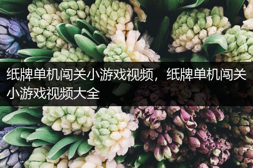 纸牌单机闯关小游戏视频，纸牌单机闯关小游戏视频大全