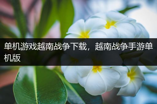 单机游戏越南战争下载，越南战争手游单机版