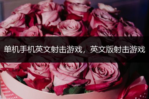 单机手机英文射击游戏，英文版射击游戏