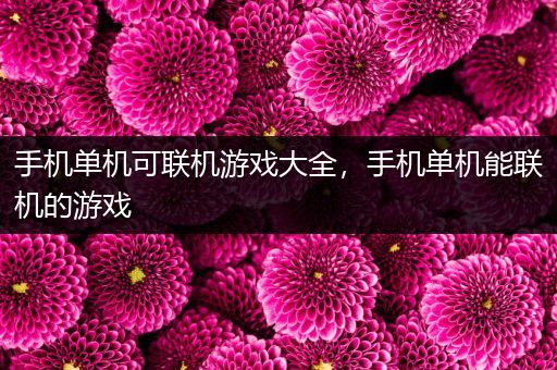 手机单机可联机游戏大全，手机单机能联机的游戏