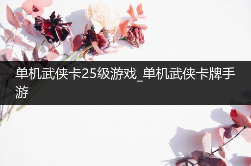 单机武侠卡25级游戏_单机武侠卡牌手游
