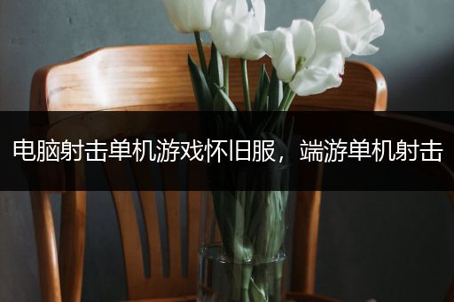 电脑射击单机游戏怀旧服，端游单机射击