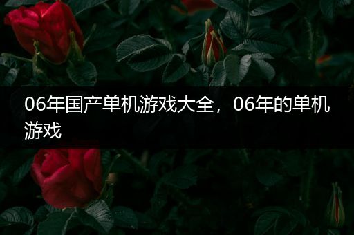 06年国产单机游戏大全，06年的单机游戏