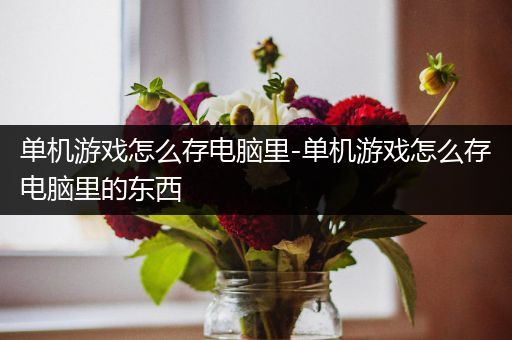 单机游戏怎么存电脑里-单机游戏怎么存电脑里的东西