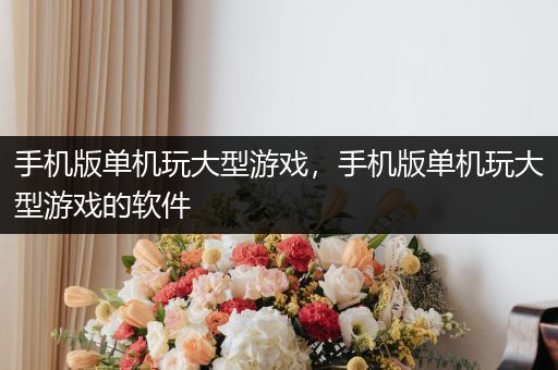 手机版单机玩大型游戏，手机版单机玩大型游戏的软件