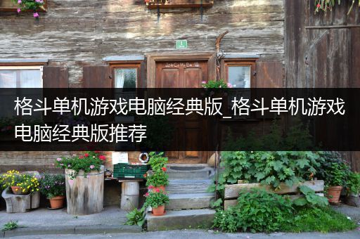 格斗单机游戏电脑经典版_格斗单机游戏电脑经典版推荐