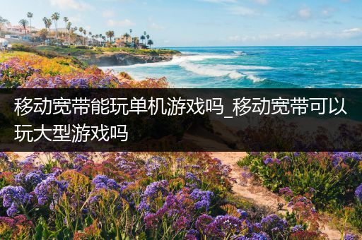 移动宽带能玩单机游戏吗_移动宽带可以玩大型游戏吗