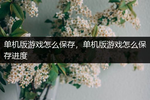 单机版游戏怎么保存，单机版游戏怎么保存进度