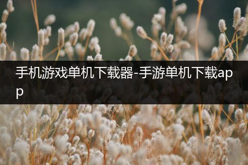 手机游戏单机下载器-手游单机下载app