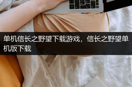 单机信长之野望下载游戏，信长之野望单机版下载
