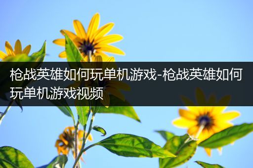 枪战英雄如何玩单机游戏-枪战英雄如何玩单机游戏视频