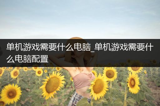 单机游戏需要什么电脑_单机游戏需要什么电脑配置