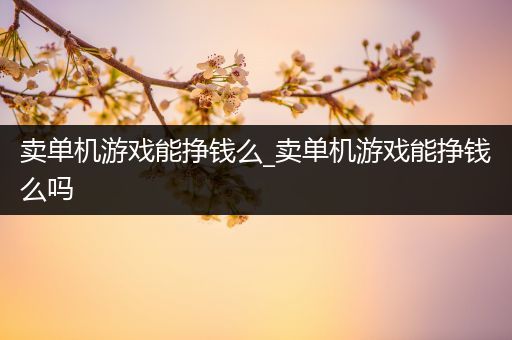卖单机游戏能挣钱么_卖单机游戏能挣钱么吗