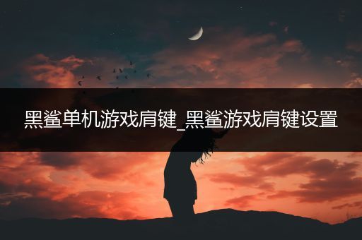黑鲨单机游戏肩键_黑鲨游戏肩键设置