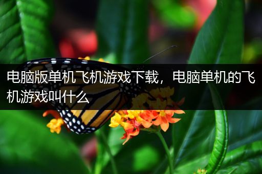 电脑版单机飞机游戏下载，电脑单机的飞机游戏叫什么