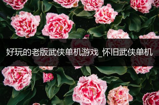好玩的老版武侠单机游戏_怀旧武侠单机