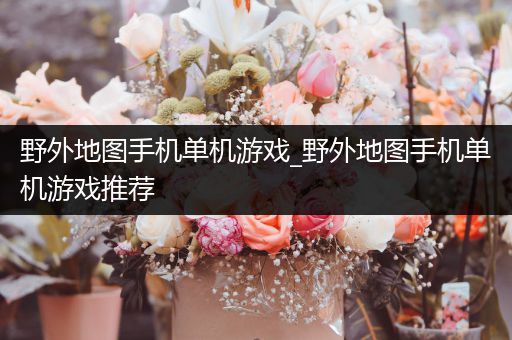 野外地图手机单机游戏_野外地图手机单机游戏推荐