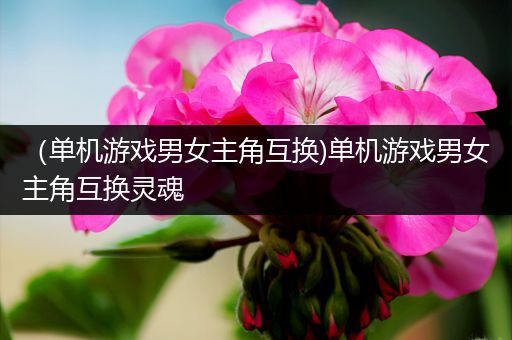 （单机游戏男女主角互换)单机游戏男女主角互换灵魂