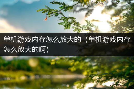 单机游戏内存怎么放大的（单机游戏内存怎么放大的啊）