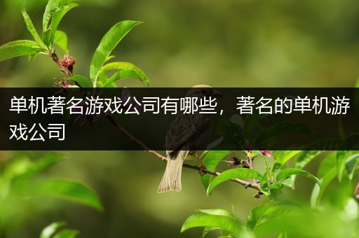 单机著名游戏公司有哪些，著名的单机游戏公司