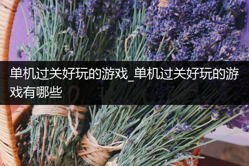 单机过关好玩的游戏_单机过关好玩的游戏有哪些