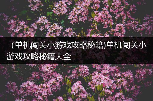 （单机闯关小游戏攻略秘籍)单机闯关小游戏攻略秘籍大全