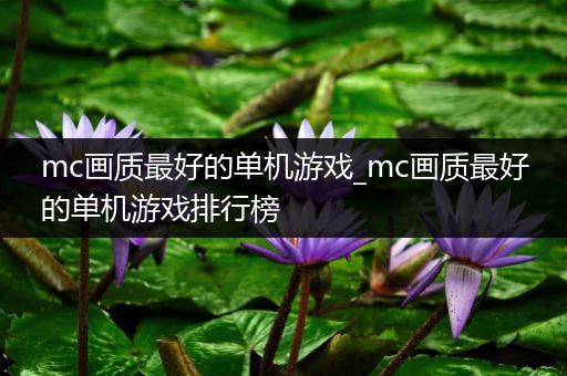 mc画质最好的单机游戏_mc画质最好的单机游戏排行榜
