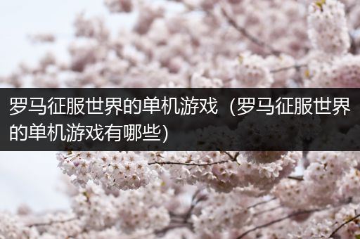 罗马征服世界的单机游戏（罗马征服世界的单机游戏有哪些）