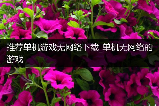 推荐单机游戏无网络下载_单机无网络的游戏