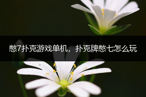 憋7扑克游戏单机，扑克牌憋七怎么玩