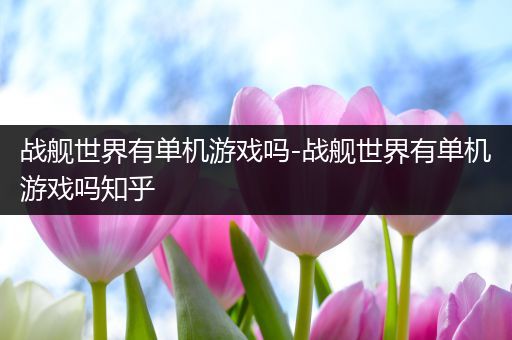 战舰世界有单机游戏吗-战舰世界有单机游戏吗知乎